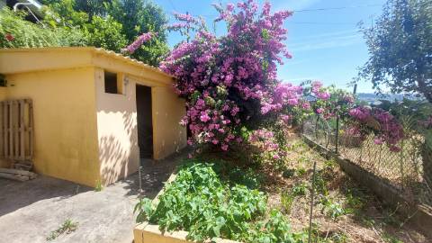 Moradia no Centro de Amarante