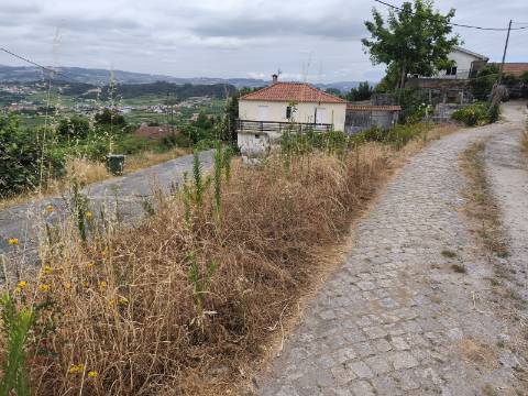 Terreno Rústico (Venda Judicial)