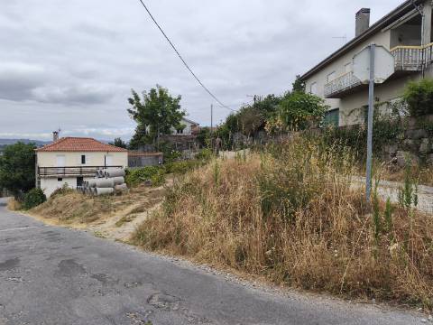 Terreno Rústico (Venda Judicial)