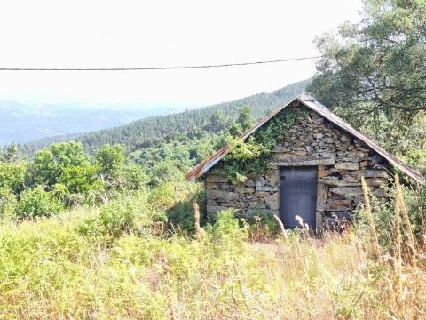 Terreno com Alpendre e Eira