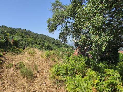 Terreno com Alpendre e Eira