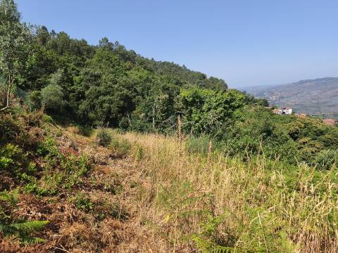 Terreno com Alpendre e Eira