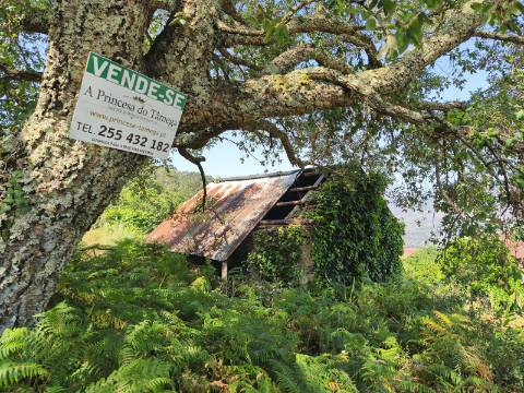 Terreno com Alpendre e Eira