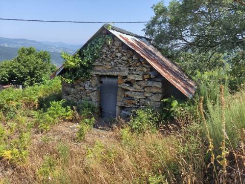 Terreno com Alpendre e Eira