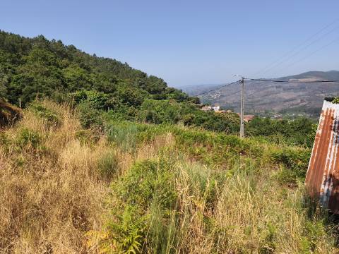 Terreno com Alpendre e Eira