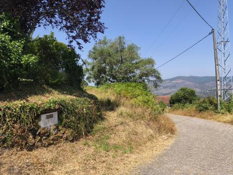 Terreno com Alpendre e Eira