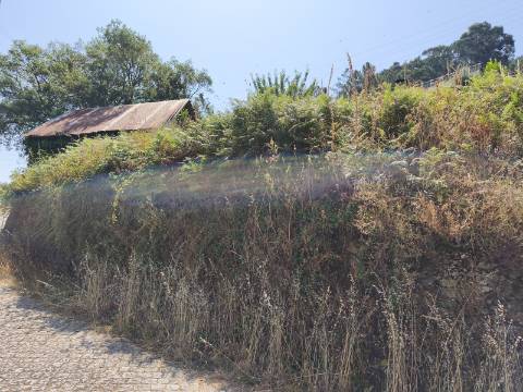 Terreno com Alpendre e Eira