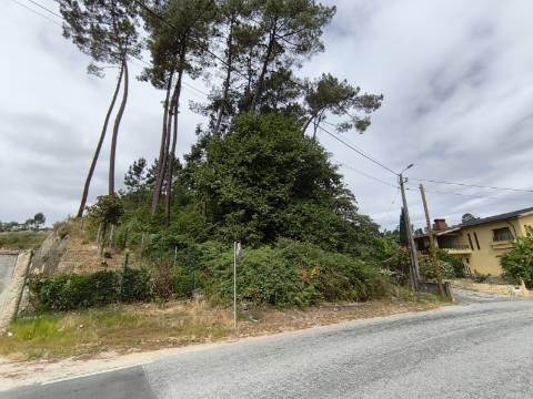 Terreno Rústico (Venda Judicial)