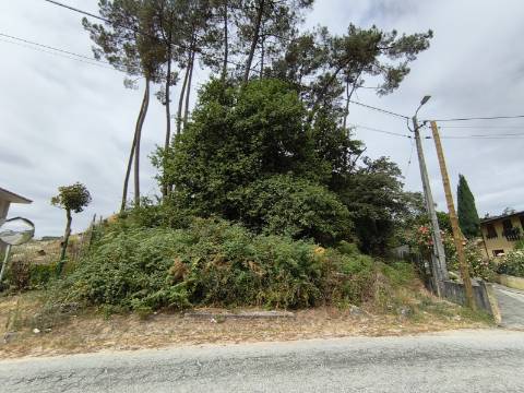 Terreno Rústico (Venda Judicial)