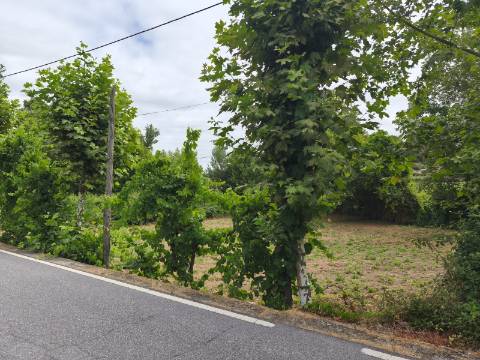 Terreno Rústico (Venda Judicial)