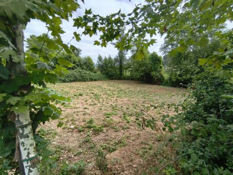 Terreno Rústico (Venda Judicial)