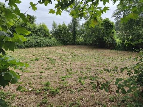 Terreno Rústico (Venda Judicial)