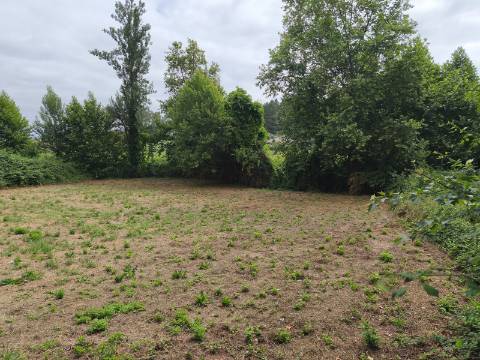 Terreno Rústico (Venda Judicial)