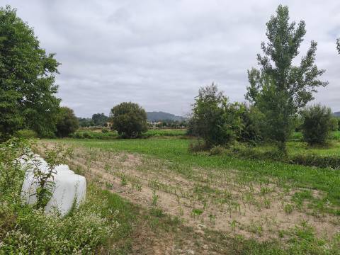 Terreno Rústico (Venda Judicial)