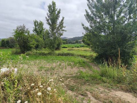 Terreno Rústico (Venda Judicial)