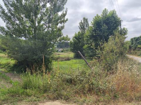 Terreno Rústico (Venda Judicial)