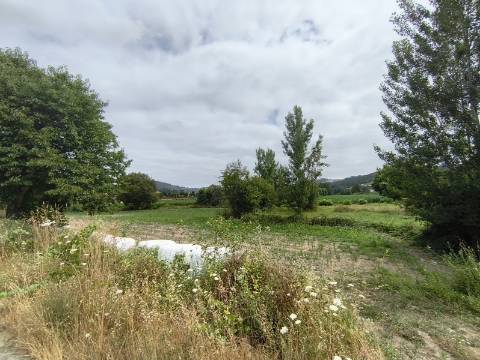 Terreno Rústico (Venda Judicial)