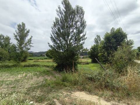 Terreno Rústico (Venda Judicial)