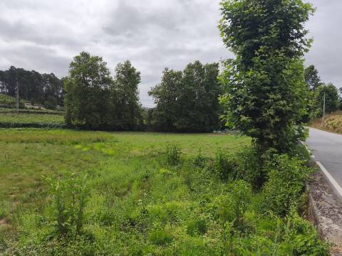 Terreno Rústico (Venda Judicial)