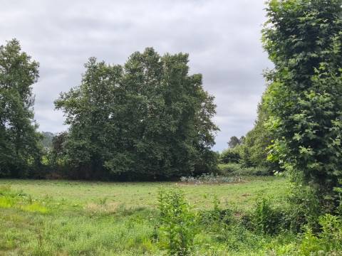 Terreno Rústico (Venda Judicial)