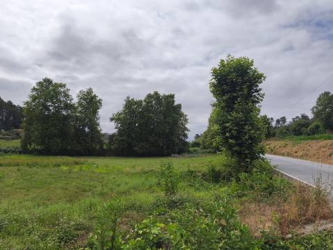 Terreno Rústico (Venda Judicial)