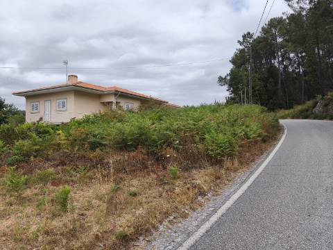 Terreno Rústico (Venda Judicial)