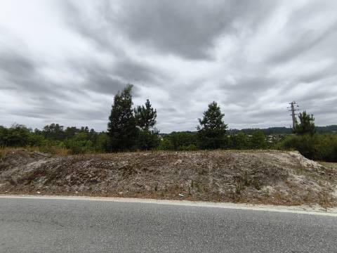 Terreno Rústico (Venda Judicial)