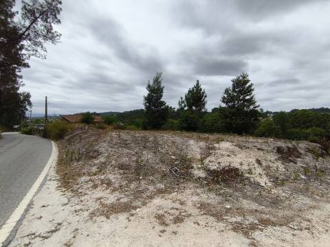 Terreno Rústico (Venda Judicial)
