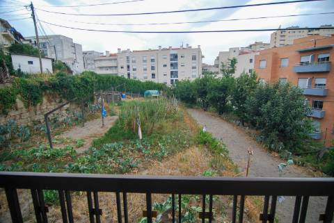 Moradia com terreno no centro da Cidade