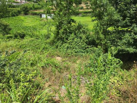Quintinha com Casa para Recuperar