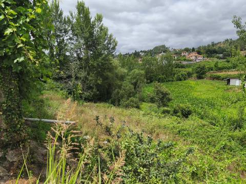 Quintinha com Casa para Recuperar