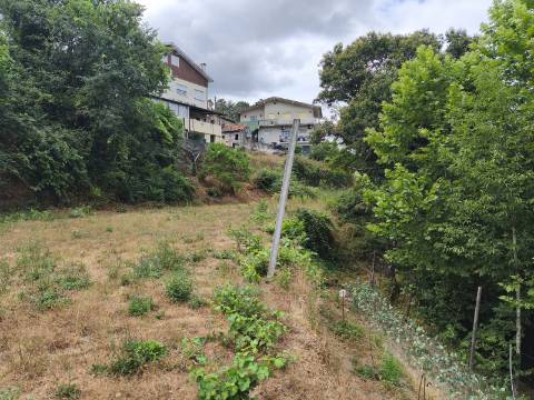 Quintinha com Casa para Recuperar