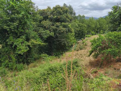 Quintinha com Casa para Recuperar