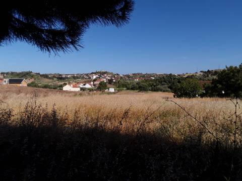 Maçussa Countryside - Moradia