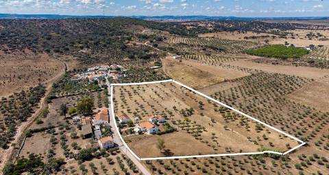 Alentejo: Quinta grande de 2,7 hectares, casa principal e anexos - rigorosamente impecável!