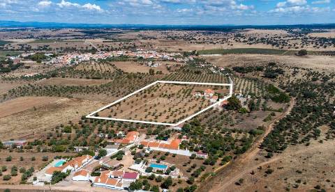 Alentejo: Quinta grande de 2,7 hectares, casa principal e anexos - rigorosamente impecável!