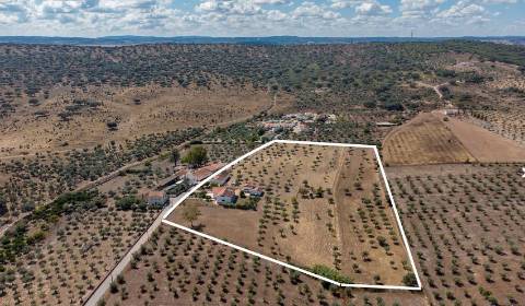 Alentejo: Quinta grande de 2,7 hectares, casa principal e anexos - rigorosamente impecável!
