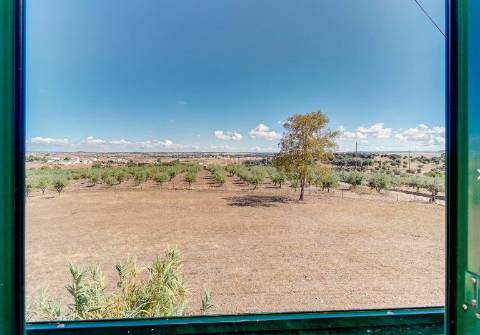Alentejo: Quinta grande de 2,7 hectares, casa principal e anexos - rigorosamente impecável!