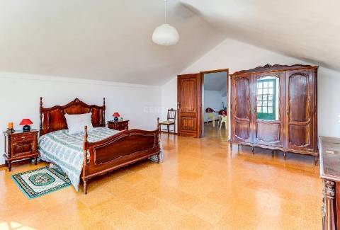 Alentejo: Quinta grande de 2,7 hectares, casa principal e anexos - rigorosamente impecável!