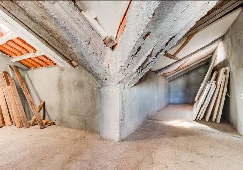 Alentejo: Quinta grande de 2,7 hectares, casa principal e anexos - rigorosamente impecável!