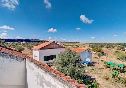 Alentejo: Quinta grande de 2,7 hectares, casa principal e anexos - rigorosamente impecável!