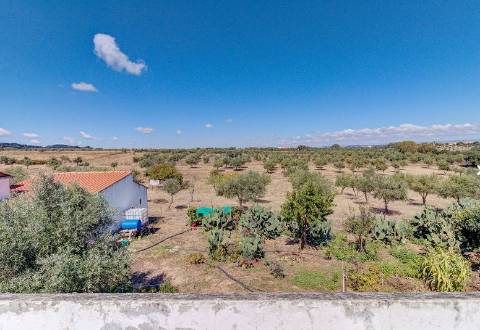 Alentejo: Quinta grande de 2,7 hectares, casa principal e anexos - rigorosamente impecável!