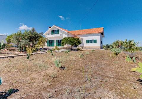 Alentejo: Quinta grande de 2,7 hectares, casa principal e anexos - rigorosamente impecável!