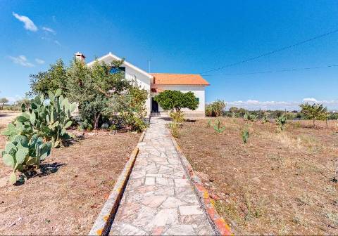 Alentejo: Quinta grande de 2,7 hectares, casa principal e anexos - rigorosamente impecável!