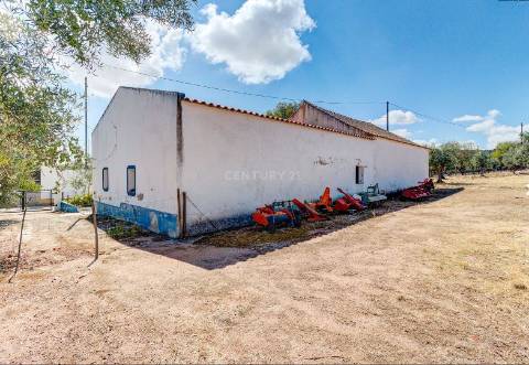 Alentejo: Quinta grande de 2,7 hectares, casa principal e anexos - rigorosamente impecável!