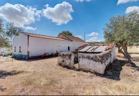 Alentejo: Quinta grande de 2,7 hectares, casa principal e anexos - rigorosamente impecável!