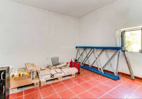 Alentejo: Quinta grande de 2,7 hectares, casa principal e anexos - rigorosamente impecável!