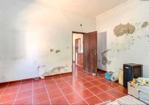 Alentejo: Quinta grande de 2,7 hectares, casa principal e anexos - rigorosamente impecável!