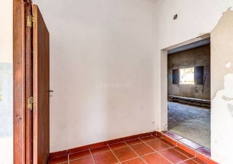 Alentejo: Quinta grande de 2,7 hectares, casa principal e anexos - rigorosamente impecável!