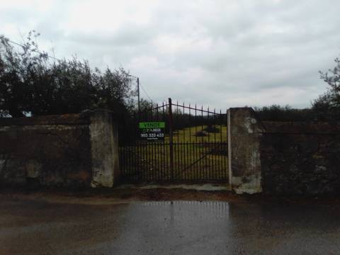 OLIVAL URBANO NO CORVAL